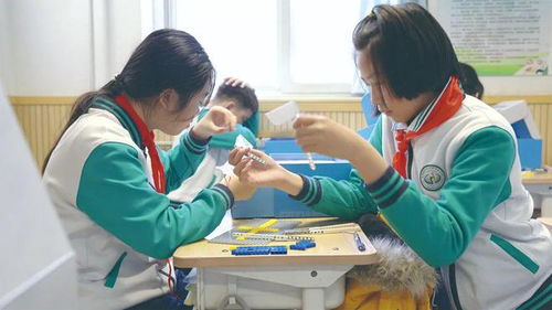 雙師素質課堂來啦 看數字化如何助力課后服務升級，護航學生課后看護